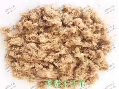 纸木纤维