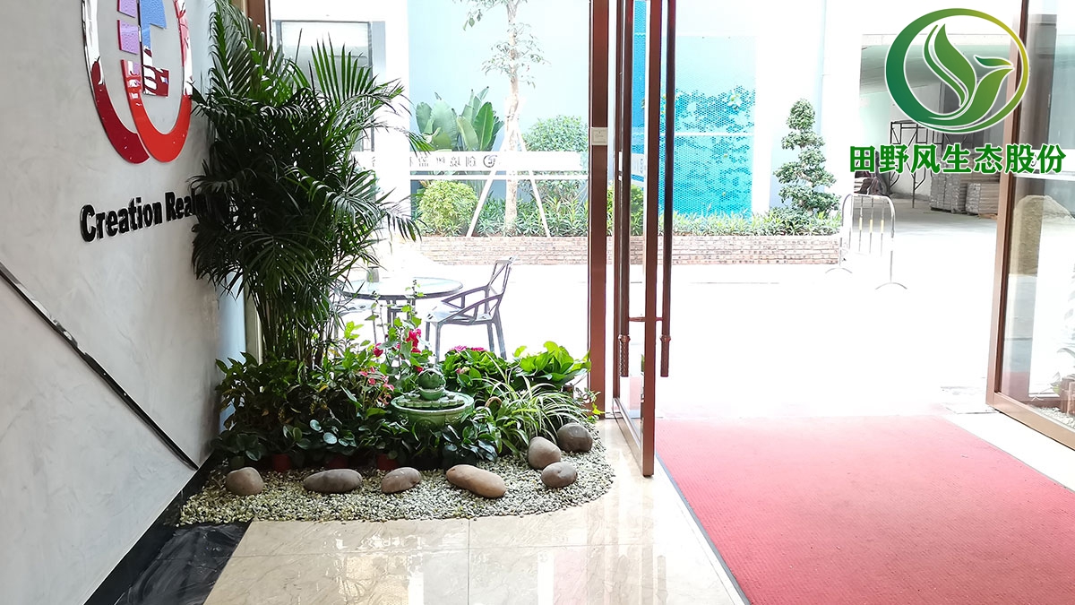 办公室室内植物租赁公司,植物租赁