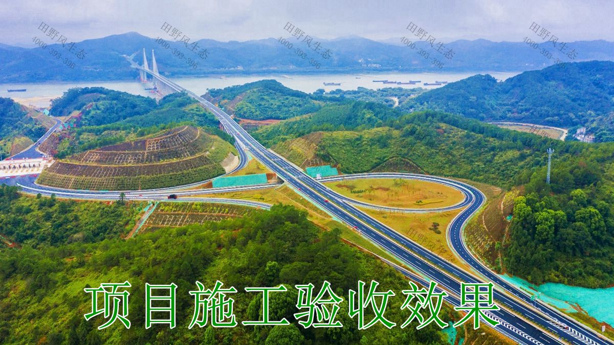 大潮高速公路边坡复绿工程