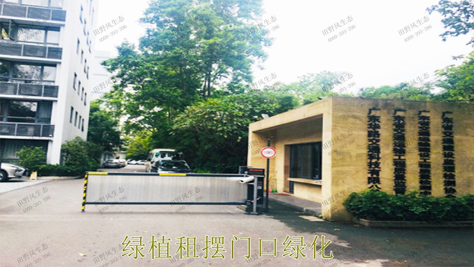 绿植租摆门口绿化