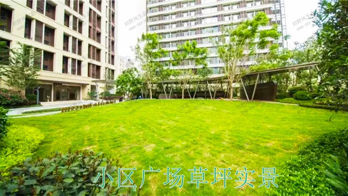 重庆龙湖地产园林景观工程