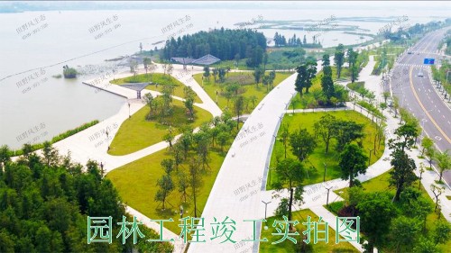 广东河源紫金省道绿化美化市政工程
