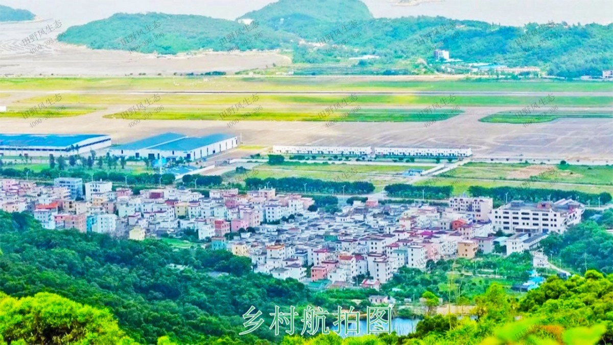 珠海金湾区美丽乡村绿化项目