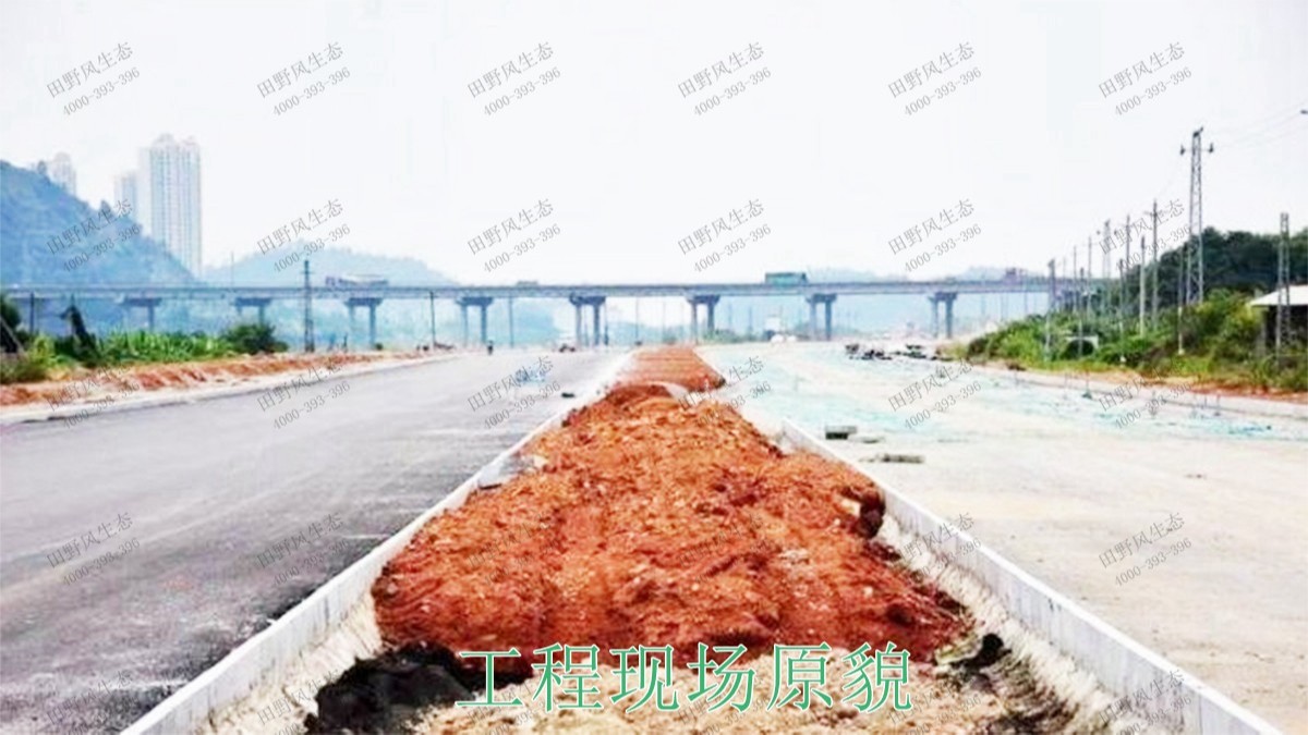 江门逢江区园林景观花卉园林绿化