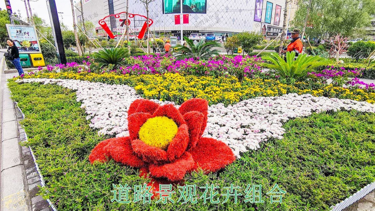 江门逢江区园林景观花卉园林绿化