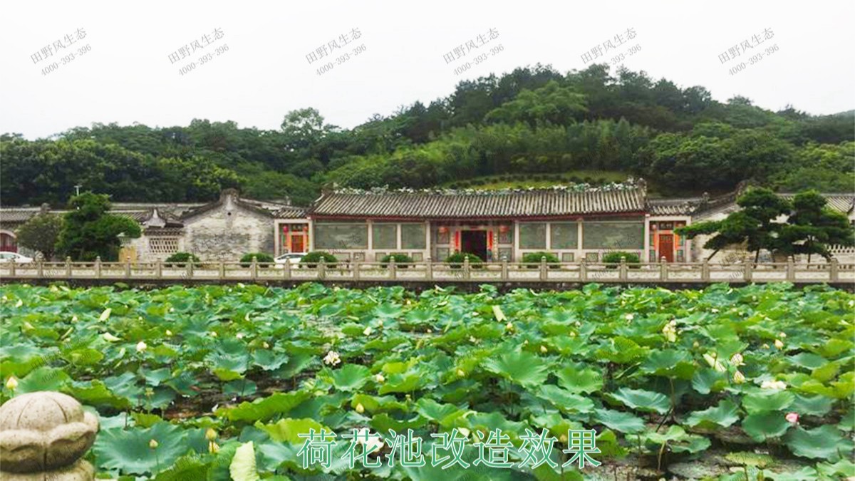 潮州市美丽乡村工程项目