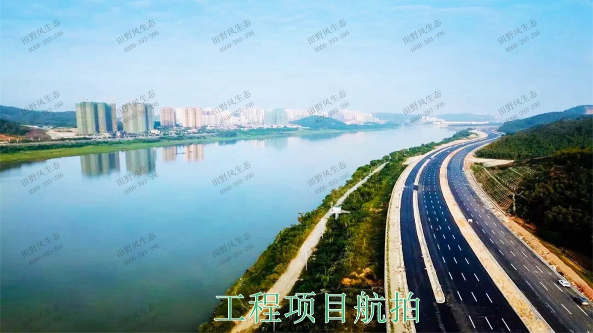江门逢江区园林景观花卉园林绿化
