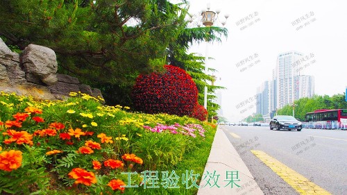 赣州全南公路市政道路工程
