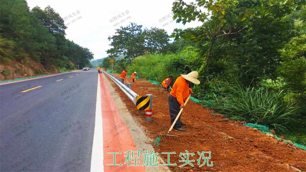 赣州全南公路市政道路工程