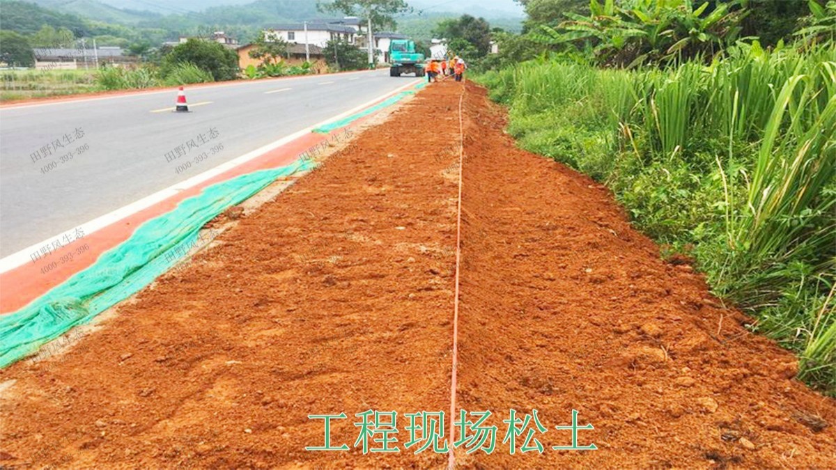 赣州全南公路市政道路工程