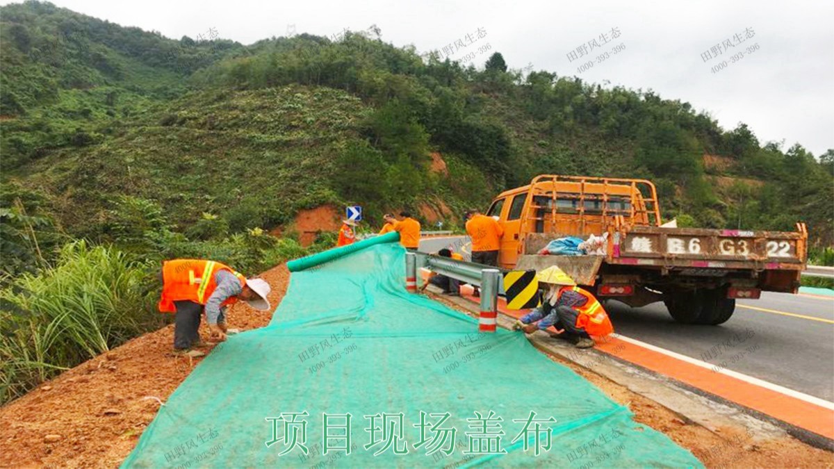 赣州全南公路市政道路工程