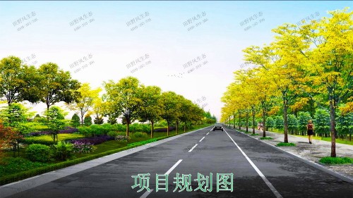 火炬开发区景观路市政景观工程