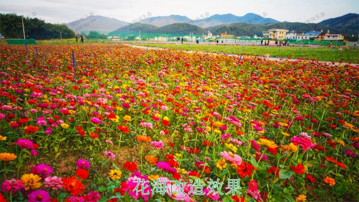 蕉岭县美丽乡村工程项目