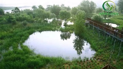 田野风生态修复工程措施