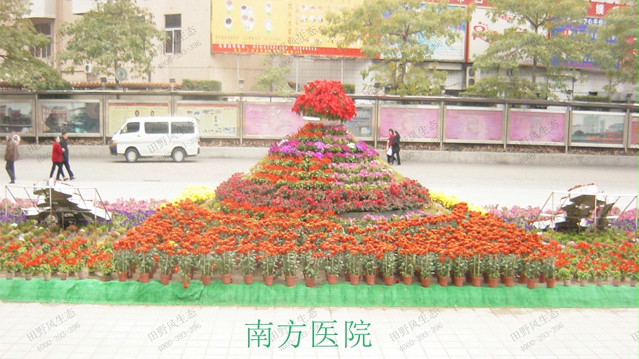 1南方医院