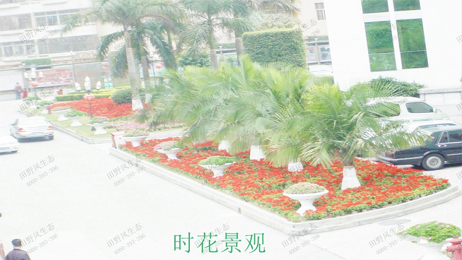 4时花景观