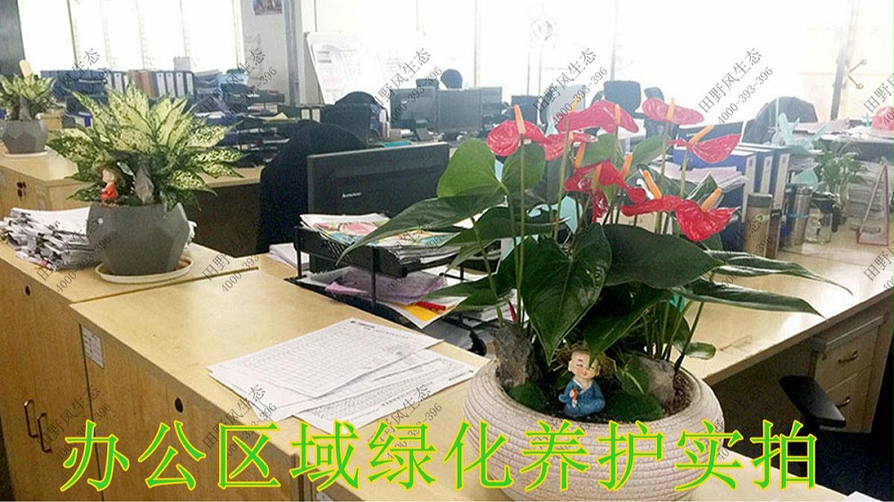 广东国际轻纺城花卉养护案例