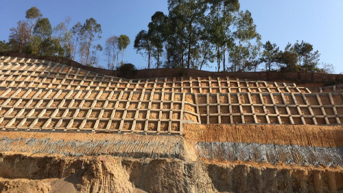 甘肃甘南沙子沟桥道路边坡复绿工程