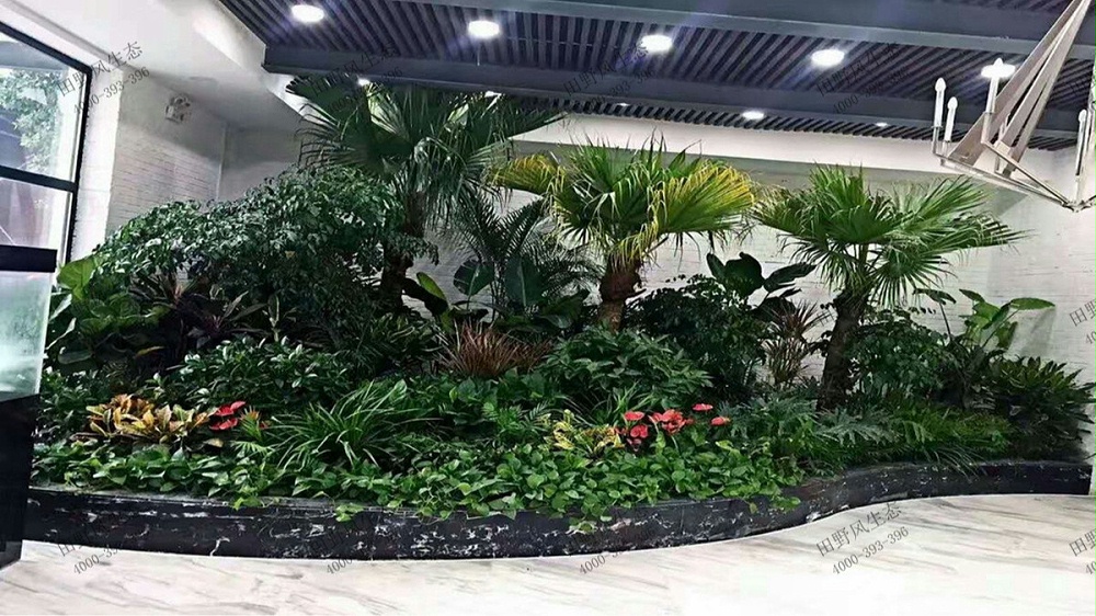前门绿植租摆