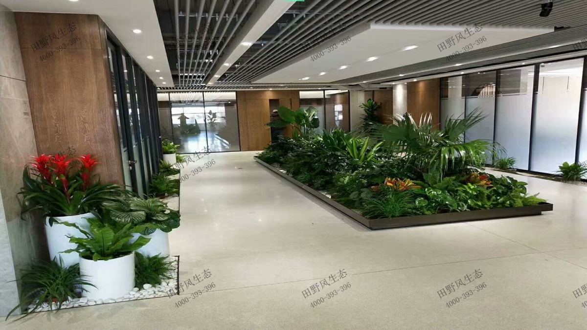 广东国际大厦花木租摆
