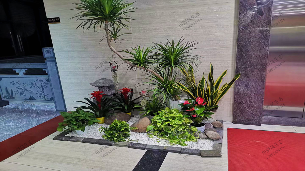 写字楼租植物