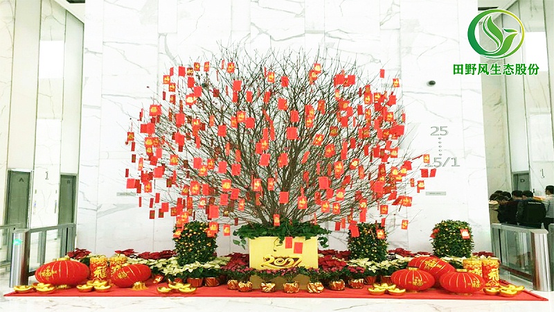 桃花购买批发,桃花盆栽