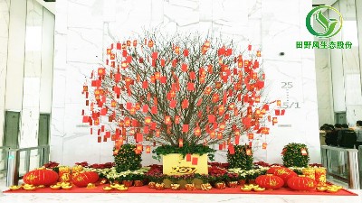 盆栽桃花如何养护？让桃花绽放在室内