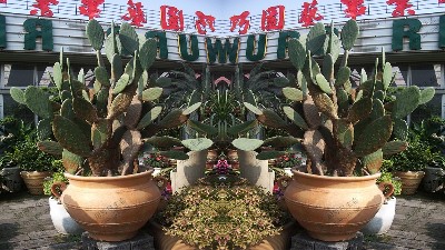 权掌天下