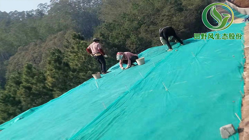 厂区复绿,养猪场绿化
