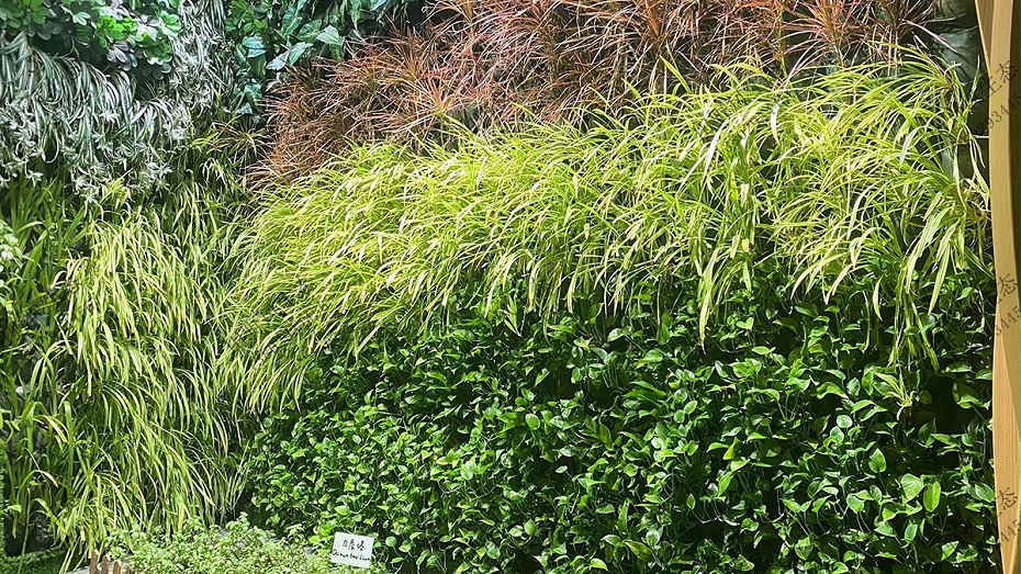 植物租赁
