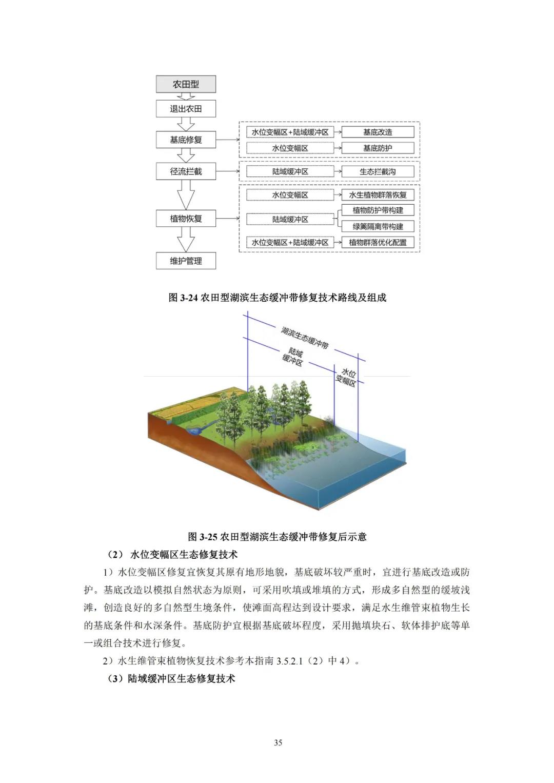 河湖生态缓冲带保护修复