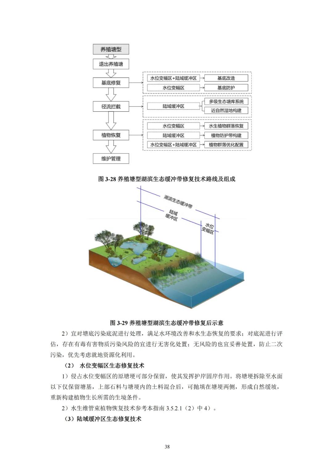 河湖生态缓冲带保护修复