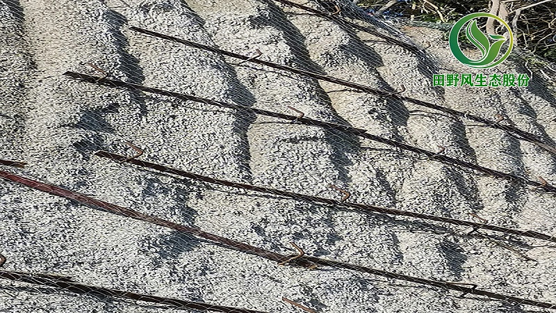 石质边坡绿化