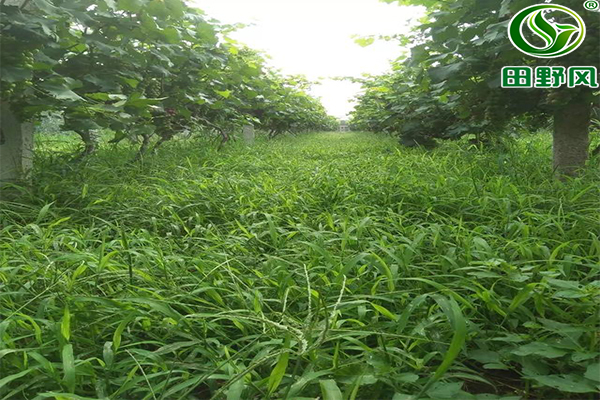 微信图片_20200623143448 微信图片_20200623143448