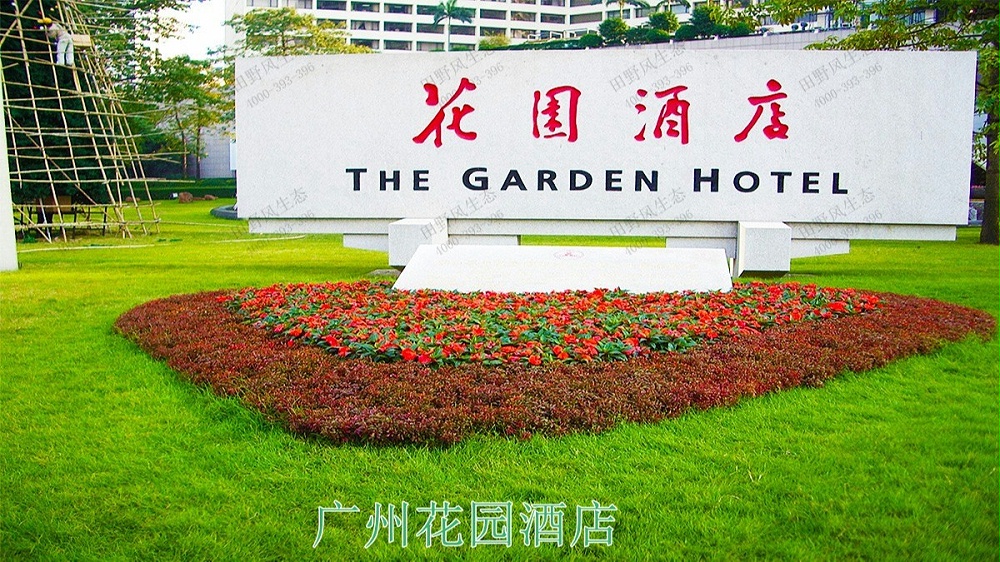 广州花园酒店绿化绿植养护维护