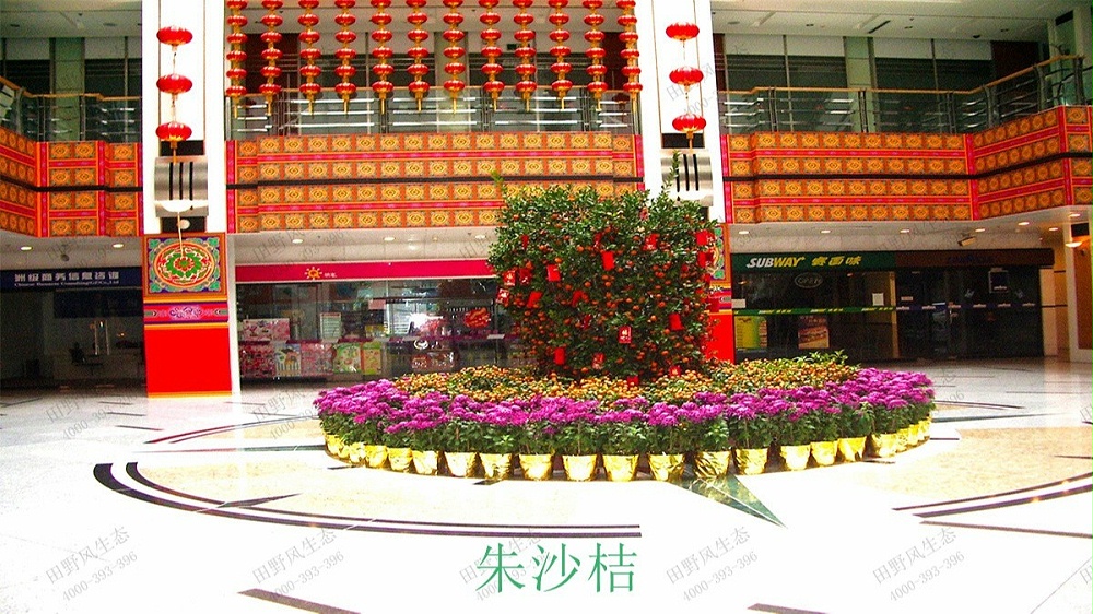 广州花园酒店绿化绿植养护维护