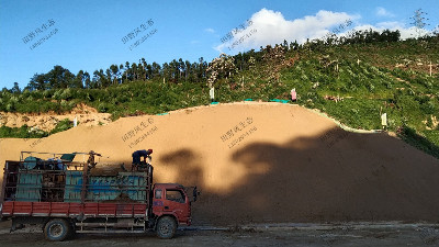 银洲湖高速边坡复绿工程