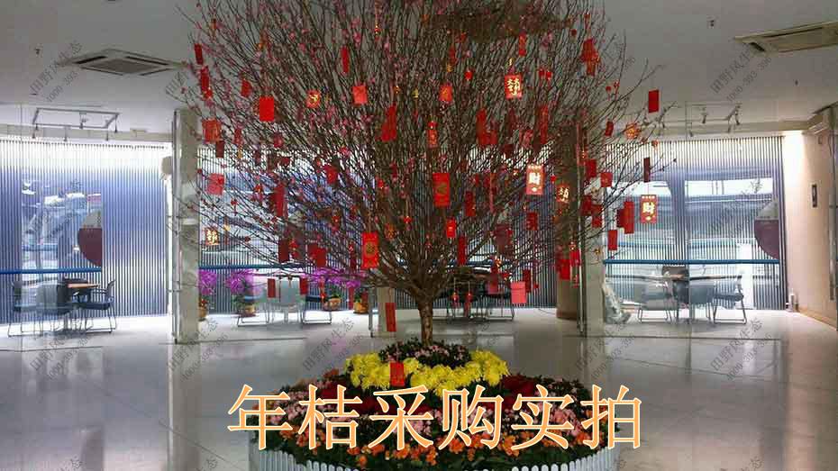 年桔采购