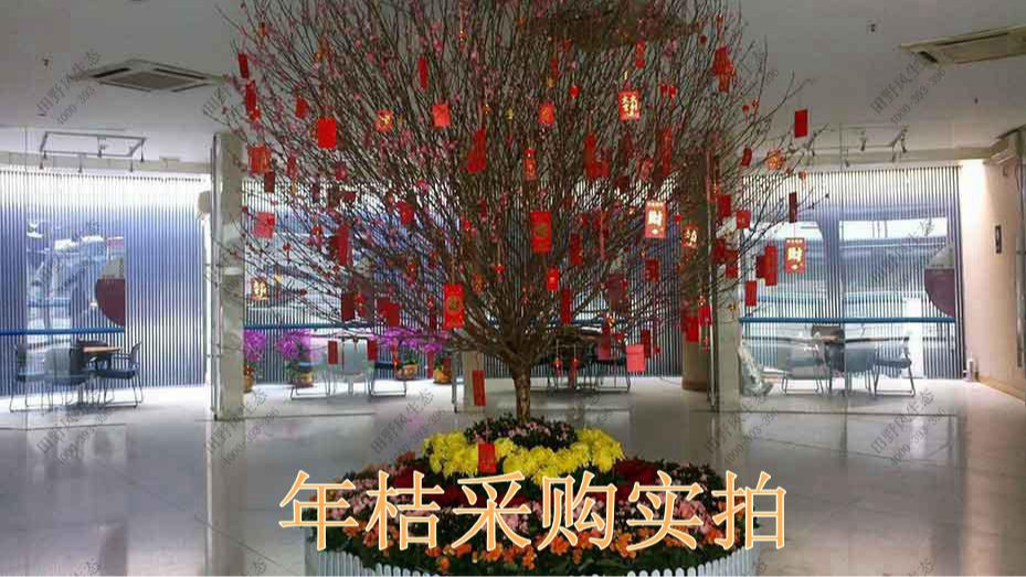 广州万达广场年花订购配送服务