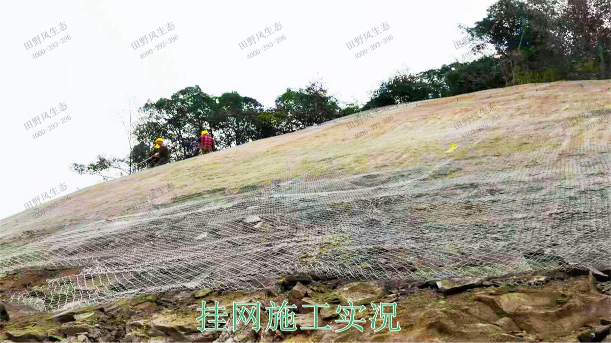 包茂高速高州段高速公路边坡喷播工程