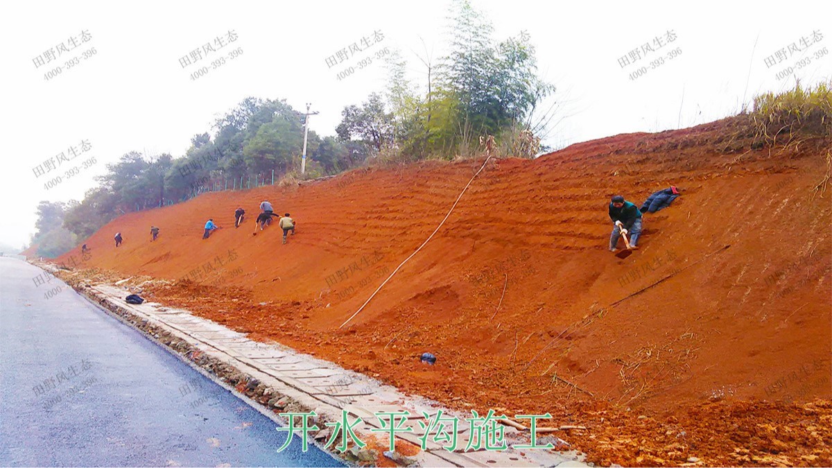 包茂高速高州段高速公路边坡喷播工程