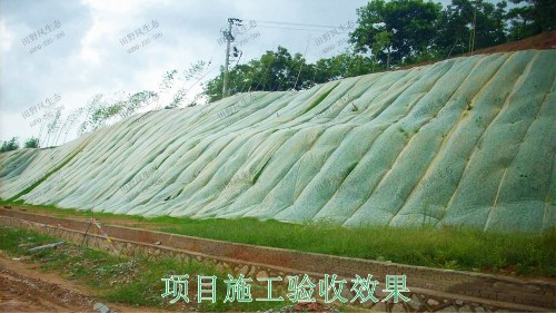 兴汕高速梅州段公路边坡挂网喷播工程