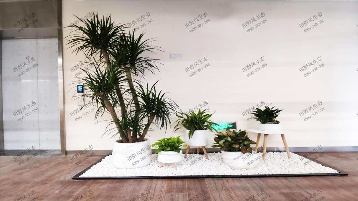 24写字楼创意组合景观