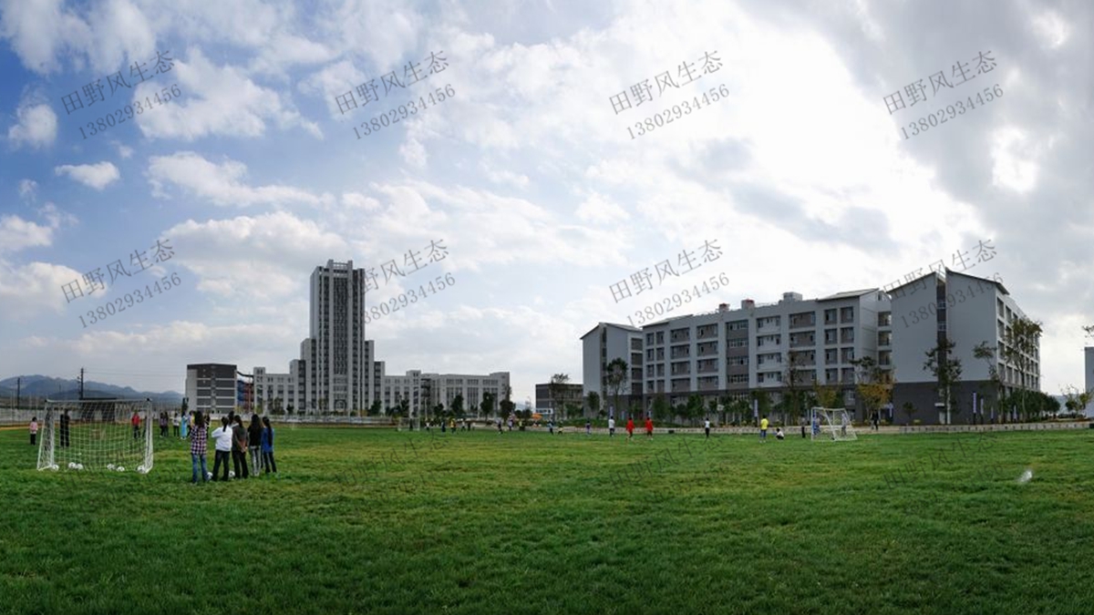 学校草坪