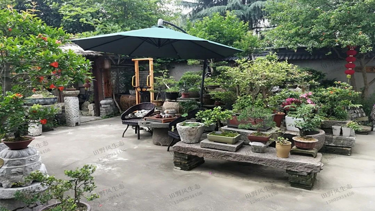 庭院绿化植物