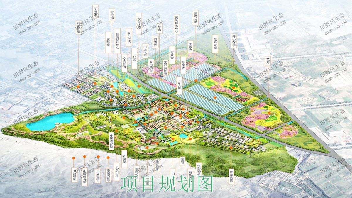广州番禺农业大观园景观花海