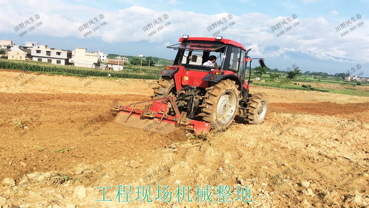 广州番禺农业大观园景观花海