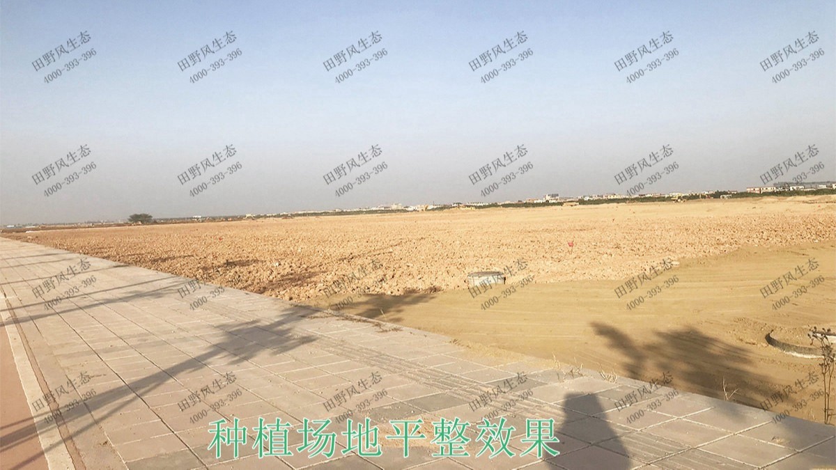 湖北武汉农业生态园花海工程,