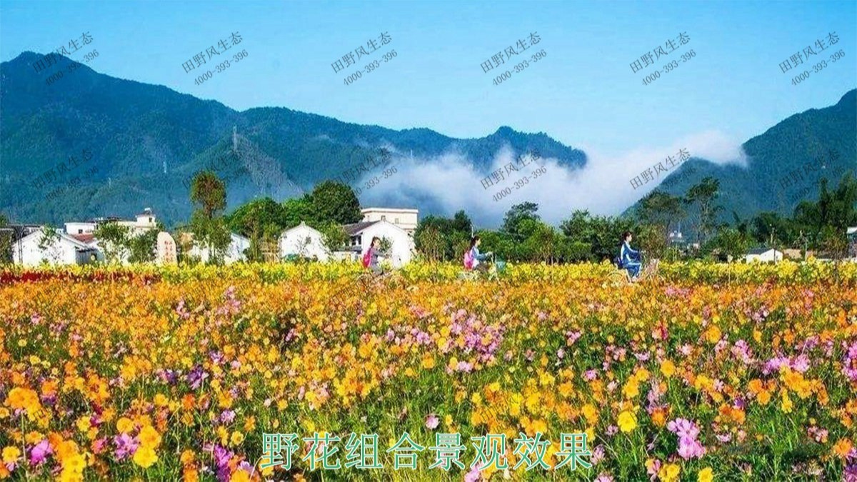 江西赣州美丽乡村景观工程