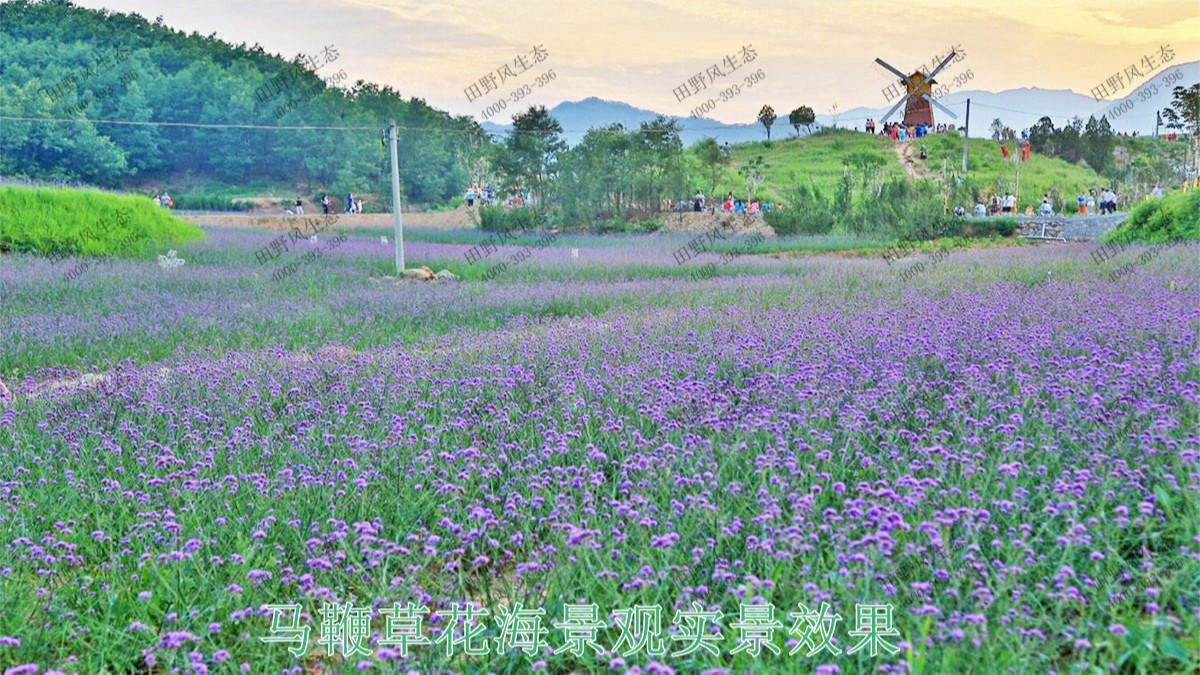 江西赣州美丽乡村景观工程